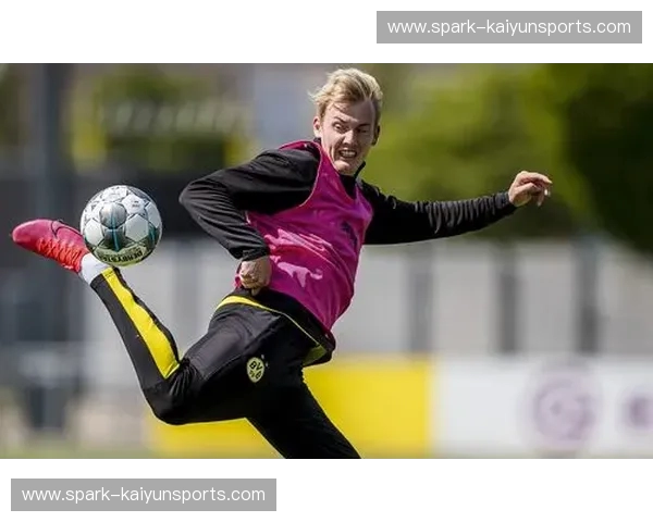 德意志德比：风暴之巅，荣耀之路——多特蒙德与拜仁慕尼黑的史诗对决