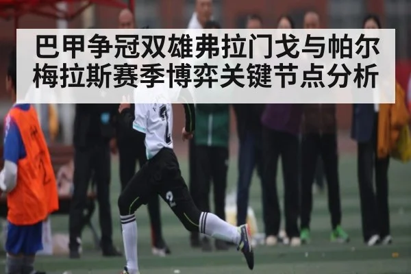 巴甲争冠双雄弗拉门戈与帕尔梅拉斯赛季博弈关键节点分析