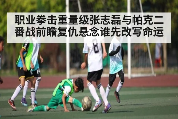 职业拳击重量级张志磊与帕克二番战前瞻复仇悬念谁先改写命运 - Kaiyun APP